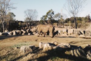 ズーラシア動物園は広い