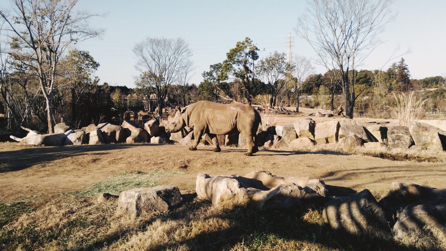 よこはま動物園ズーラシア-13