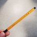 syouken-hosoji-460